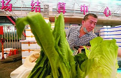 上海精準對接銷售云南扶貧農產品，微生物肥料助力農戶解燃眉之急