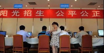 高招錄取正式啟動 石家莊市咨詢服務(wù)站電話公布，助力考生獲取關(guān)鍵信息